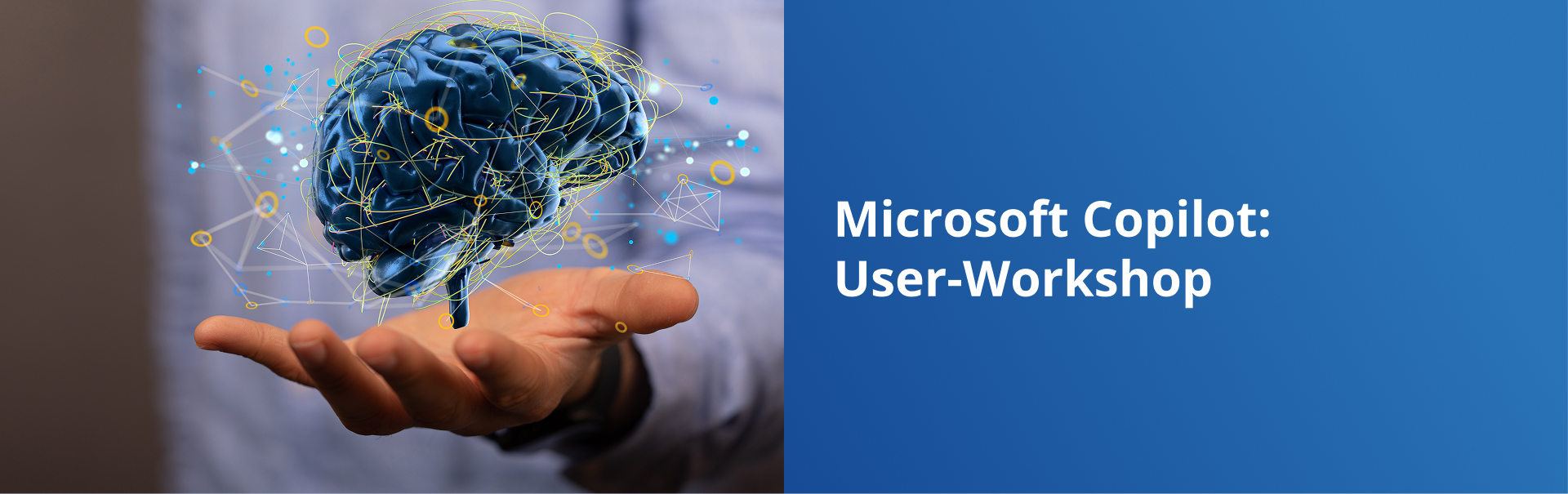 Microsoft Copilot User‑Workshop
